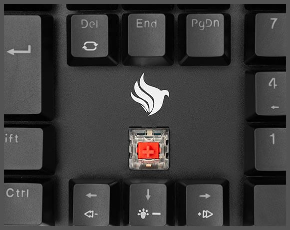 Switches Outemu MX Red